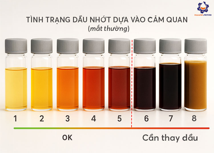kiểm tra chất lượng dầu