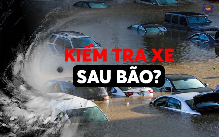 kiểm tra xe sau bão
