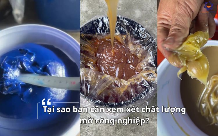 chất lượng mỡ công nghiệp
